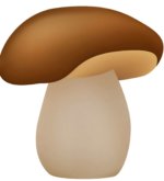 Перейти к тесту «Тест на тему «Грибы»» на сайте ProfTest.ME