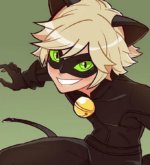 Перейти к тесту «Как хорошо ты знаешь Супер Кота?» на сайте ProfTest.ME