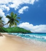 Перейти к тесту «Смог бы ты выжить на необитаемом острове?» на сайте ProfTest.ME