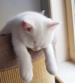 Перейти к тесту «Что отнимает ваши силы?» на сайте ProfTest.ME