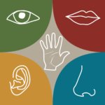 Фото теста «Диагностика доминирующей перцептивной модальности С. Ефремцева» на ProfTest.ME