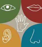 Перейти к тесту «Диагностика доминирующей перцептивной модальности С. Ефремцева» на сайте ProfTest.ME