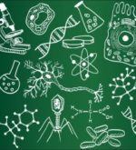 Перейти к тесту «Итоговый тест по биологии для 6 класса» на сайте ProfTest.ME