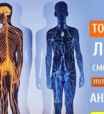 Перейти к тесту «Тест — хорошо ли вы разбираетесь в анатомии?» на сайте ProfTest.ME