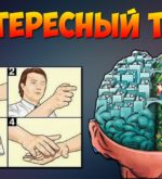 Перейти к тесту «Тест — какое полушарие у вас более развито?» на сайте ProfTest.ME
