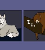 Перейти к тесту «Тест — какой у вас хронотип сна?» на сайте ProfTest.ME