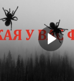 Перейти к тесту «Тест на фобию — Узнай свои скрытые страхи» на сайте ProfTest.ME